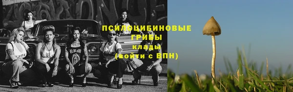 гидропоника Алексин