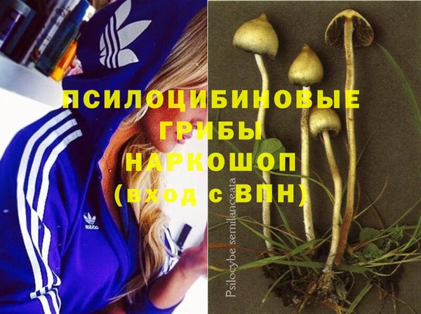 кокс Алексеевка